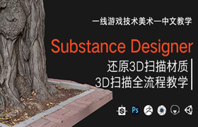 【正版】【答疑】Substance Designer還原3D掃描材質(zhì)&3D掃描全流程中文教學