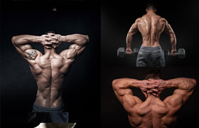 Cubebrush - Hector - Anatomy Vol 5 - Back Of The Body - 參考照片