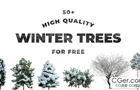 Free 50 High-Resolution Winter Trees With Transparent Background  ?
