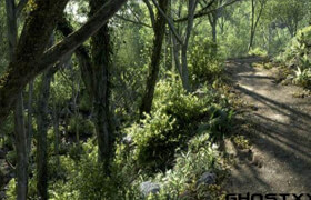 Onyx Tree 3D 系列軟件