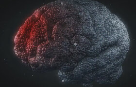 After Effects 粒子特效動畫插件 Stardust 1.6 的教程和預設