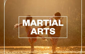 Blastwave FX - Martial Arts - 聲音素材