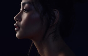 Nathan Elson - Cinematic Capture One Styles - 調色預設