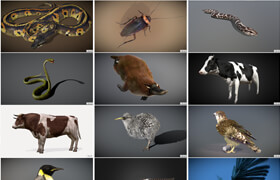 Sketchfab - Animals Pack by criusblack