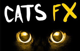 The Feline Effectors - Cats FX Lions Tigers Pedigrees Tabbies & More - 聲音素材
