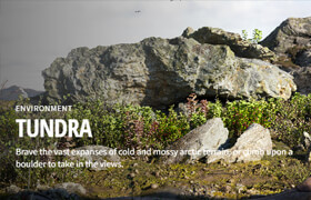 Megascans - Tundra (LAST COLLECTION SHARE BEFORE 2025)