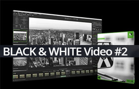 BLACK & WHITE Video #2 Professional