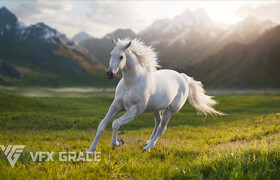 VfX Grace - White Horse Animation - 模型