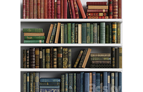 Classic Books 06
