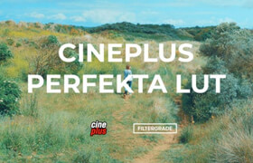 Cineplus - Perfekta LUT